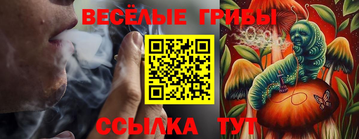 Псилоцибиновые грибы мицелий Ноябрьск